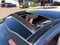 2024 Kia Sportage Hybrid SX-Prestige